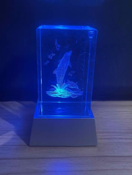 Photo of free Colour changing glass dolphin ornament (Chorley PR6) #2