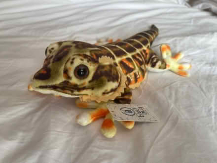 Photo of free Bearded Dragon Lizard Plush Toy (Chorley PR6) #2