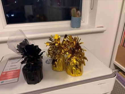 Photo of free Balloon bases x 4 (3a Portnalls Road CR5 3D) #1