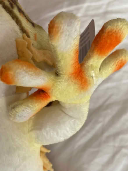 Photo of free Bearded Dragon Lizard Plush Toy (Chorley PR6) #4