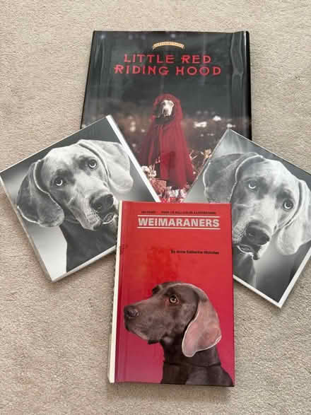 Photo of free Weimaraner related books & cards (Spital Meadow SL4) #1