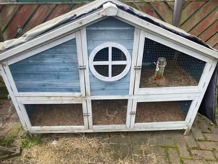 Photo of free 2 storey Guinea pig hutch (Beeston, LS11) #1