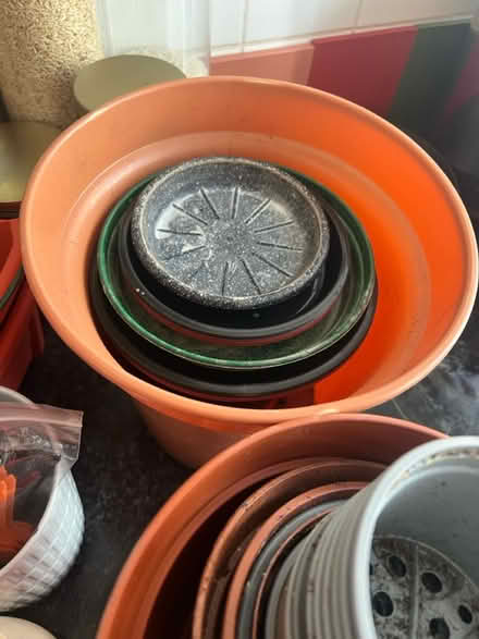 Photo of free Plant Supplies (WC1X) #3