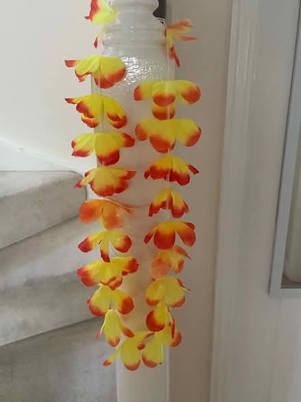 Photo of free Hawaiian lei (Lye Valley OX3) #1
