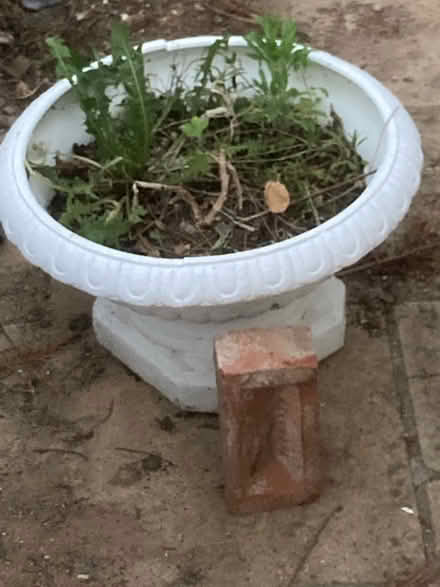 Photo of free Big plastic plant pot (Oxford OX3) #1