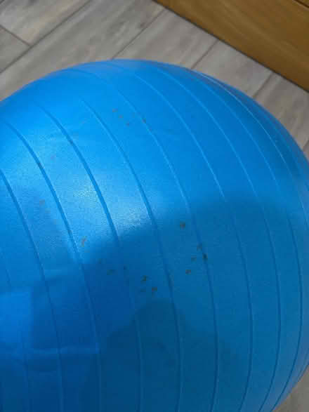 Photo of free Exercise ball and Ab roller (Ashton TR13) #3