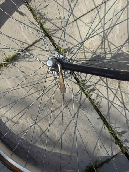 Photo of free Women’s mountain bike (Canvey Island) #4