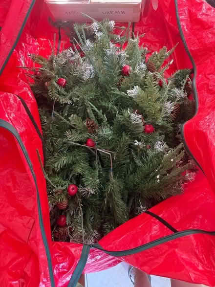 Photo of free 6ft Christmas tree (Spital Meadow SL4) #1