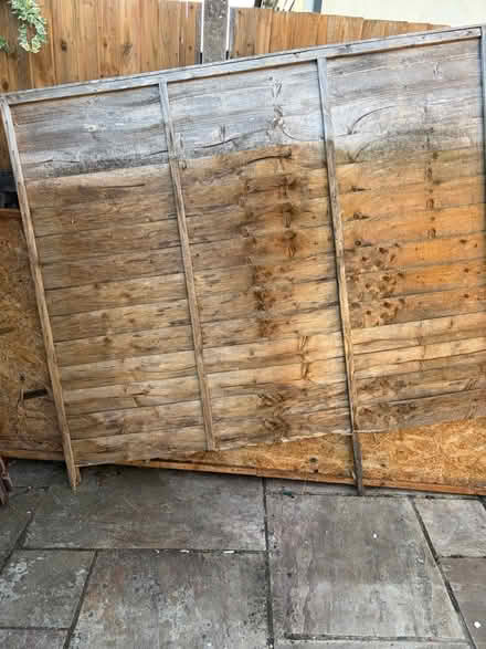 Photo of free Large amount of wood from shed (SO15) #1