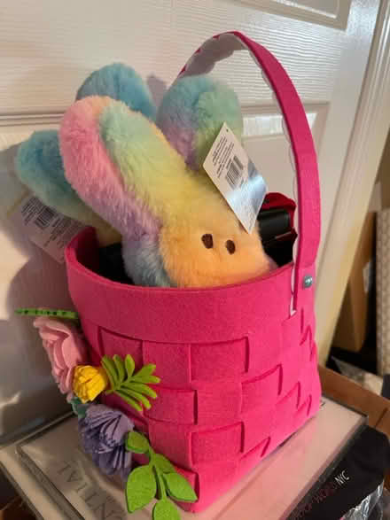 Photo of free Easter basket and stuffie (Plainview) #1