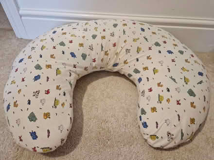 Photo of free Breastfeeding pillow (Penrith CA11) #1
