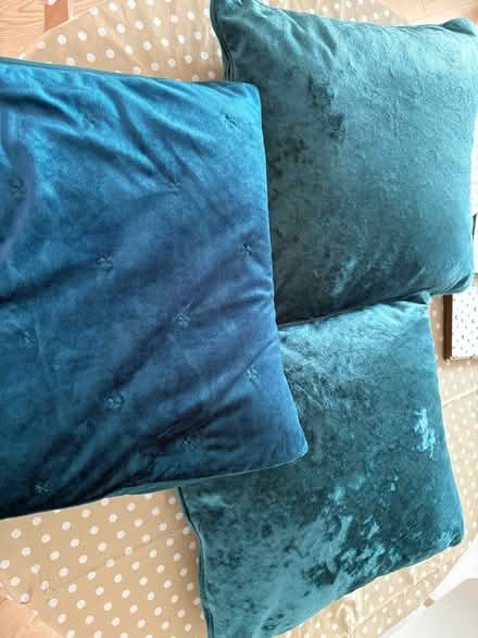 Photo of free Three teal cushions (CM1 Broomfield) #1