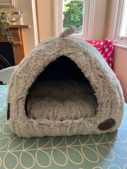 Photo of free Cat Bed (Dorking) #1
