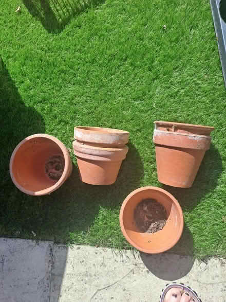 Photo of free Terracotta pots (Emsworth PO10) #1