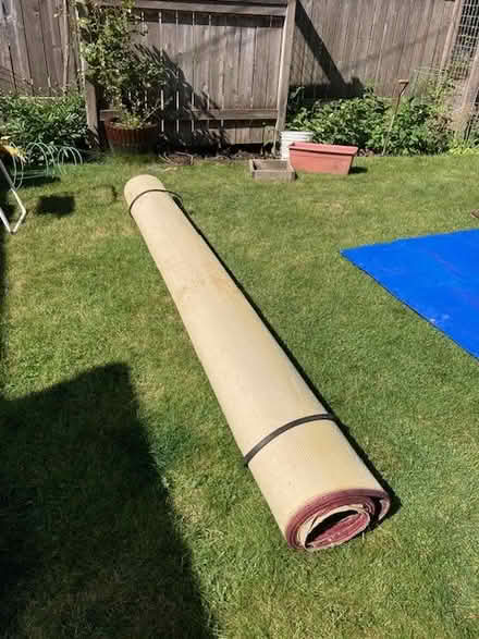 Photo of free Large Sisal Rug w/tapestry edge (Ravenna/Maple Leaf) #3