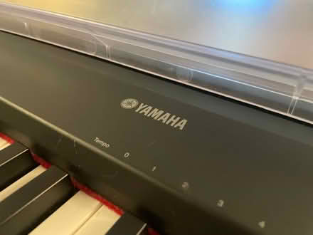 Photo of free Yamaha P-95 electric piano (Annandale) #3