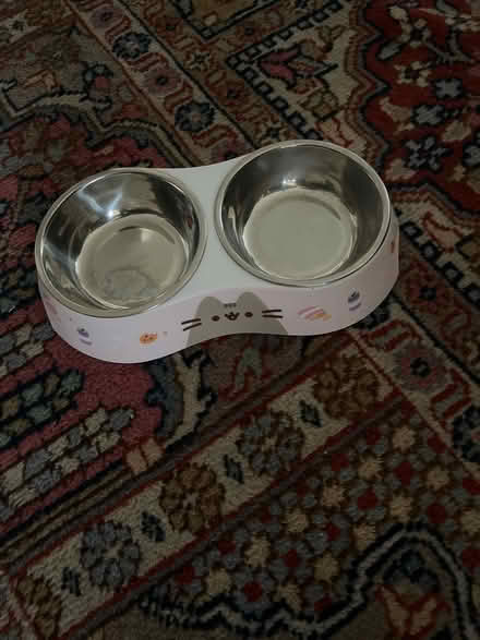 Photo of free Cat food/drink bowl (Belmont) #1