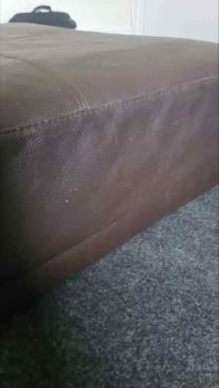 Photo of free Habitat Leather ottoman (Seven Dials BN3) #3