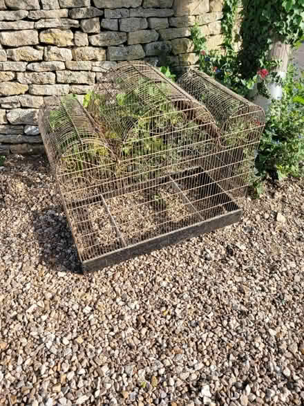 Photo of free Elegant birdcage (Chalford Hill) #1