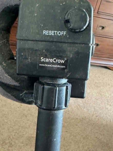 Photo of free Scare Crow garden pest deterrent (Newport Pagnell MK16) #2