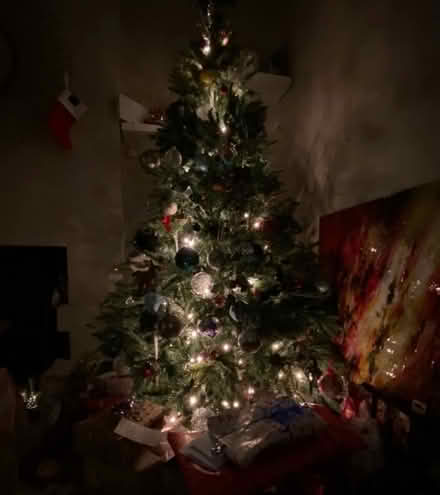 Photo of free 6ft Christmas tree (Spital Meadow SL4) #4