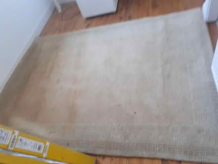 Photo of free Large rug (Long Whatton LE12 5) #1