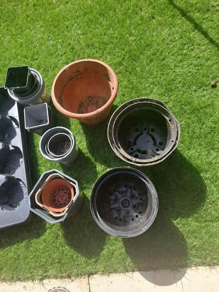 Photo of free Plastic plant pots (Emsworth PO10) #2