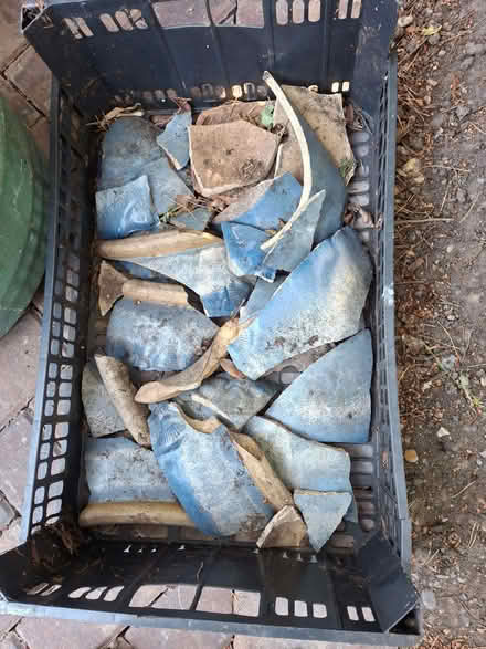 Photo of free Old broken pots (Lightwater GU18) #1