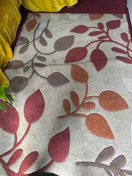 Photo of free Large rug (Clydebank G81) #1