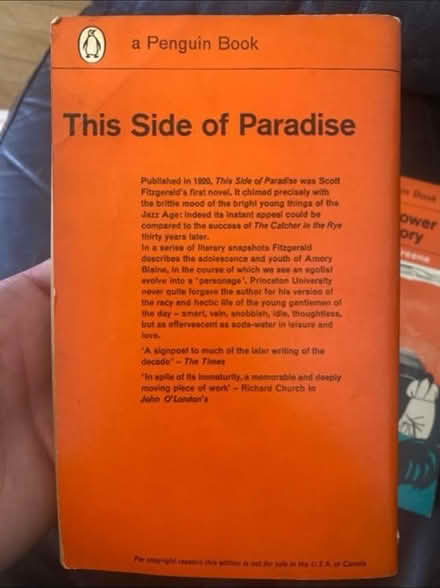 Photo of free Old Penguin Books x 2 (Cheshunt En8) #2
