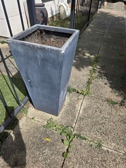 Photo of free 2 X tall planters (Erith DA8) #2