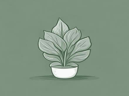 Photo of Hosta (Wigmore LU2) #1