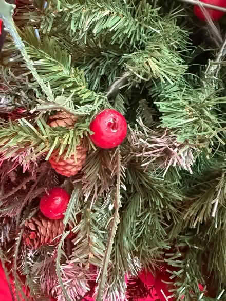 Photo of free 6ft Christmas tree (Spital Meadow SL4) #3