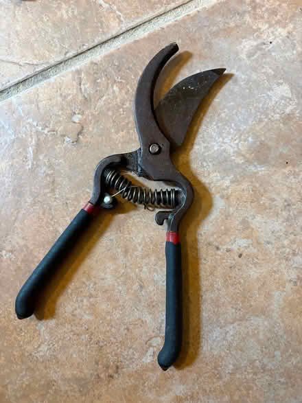 Photo of free Garden tool or something? (L5L 5P5) #1