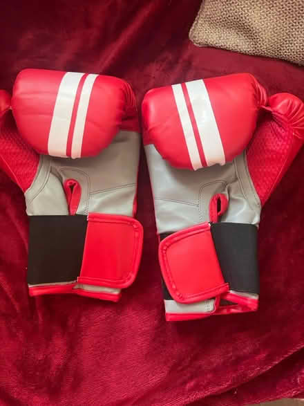 Photo of free Lonsdale Unisex's Boxing Gloves (WC1X) #2