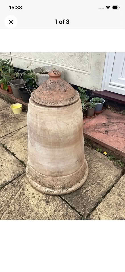 Photo of Rhubarb Forcing Pot (Silverdale) #1