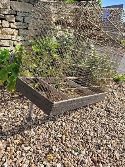 Photo of free Elegant birdcage (Chalford Hill) #2