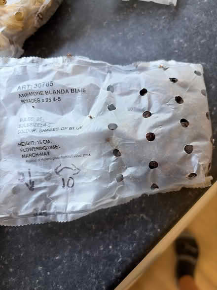 Photo of free Flower bulbs (SG4 hitchin) #2