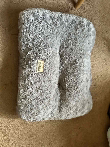 Photo of free Pet bed (Cosby LE9) #1
