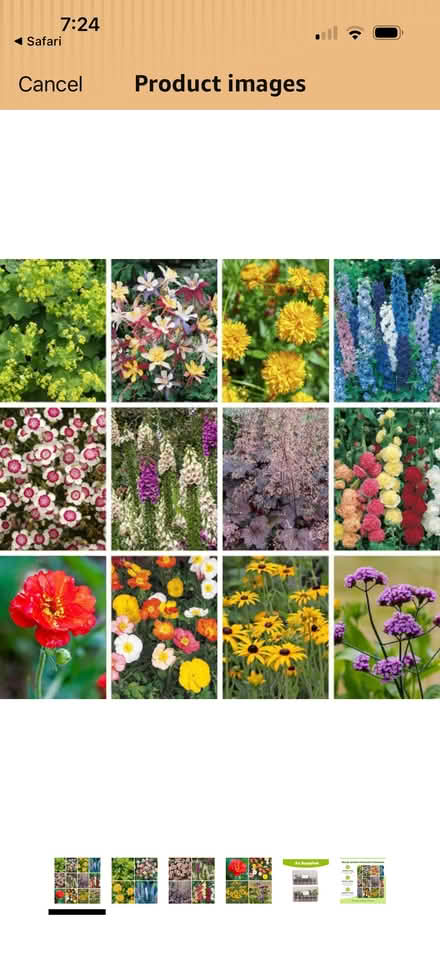 Photo of garden plants (Newby CA10) #1
