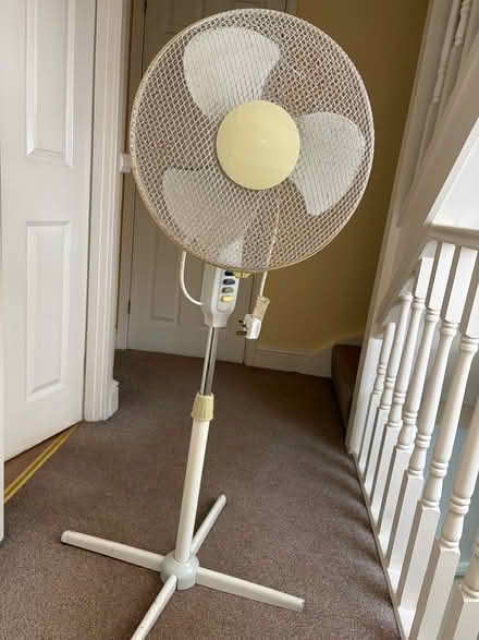 Photo of free Pedestal Fan (Stanford-le-Hope SS17) #1