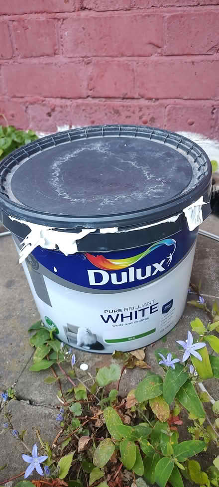 Photo of free White paint (Daimler Green CV6) #1
