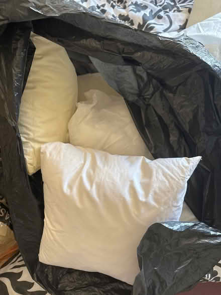 Photo of free Bag of cushion pads (CM13) #1