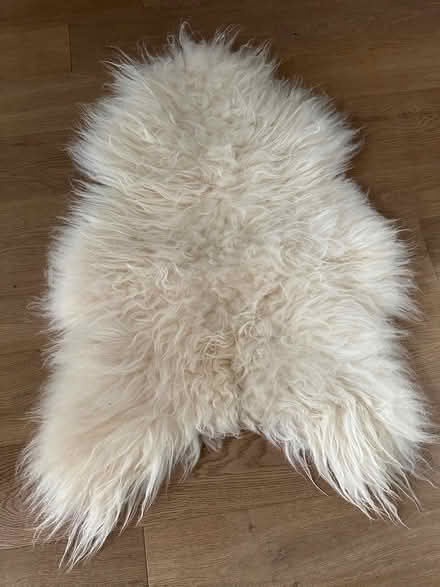 Photo of free Sheepskin Throw (Columbia heights) #1