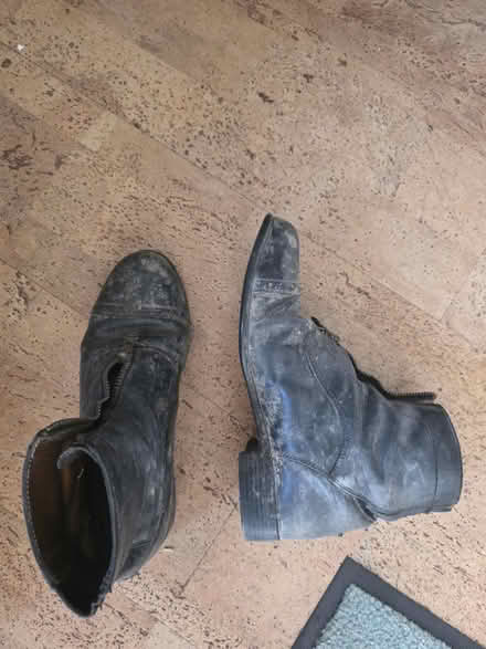 Photo of free Ariat riding boots size 5 (Ringmer) #1