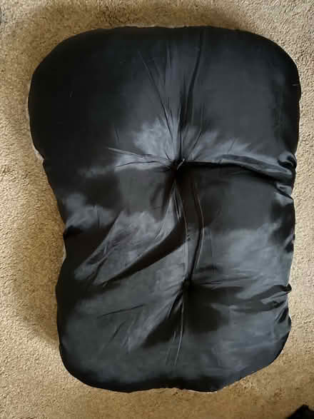 Photo of free Pet bed (Cosby LE9) #2