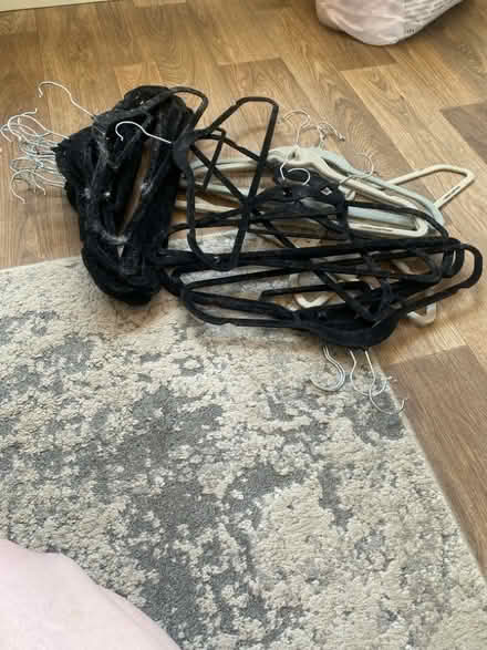 Photo of free bundle of Velvet coat hangers (Whins of Milton FK7) #1