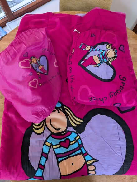 Photo of free Child’s sleeping bag (Whittle le Woods PR6) #1