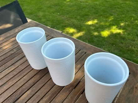Photo of free 3 tall white ceramic planters (Wimbledon Park SW19) #1