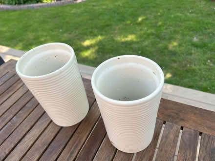 Photo of free 2 tall cream ceramic planters (Wimbledon Park SW19) #2